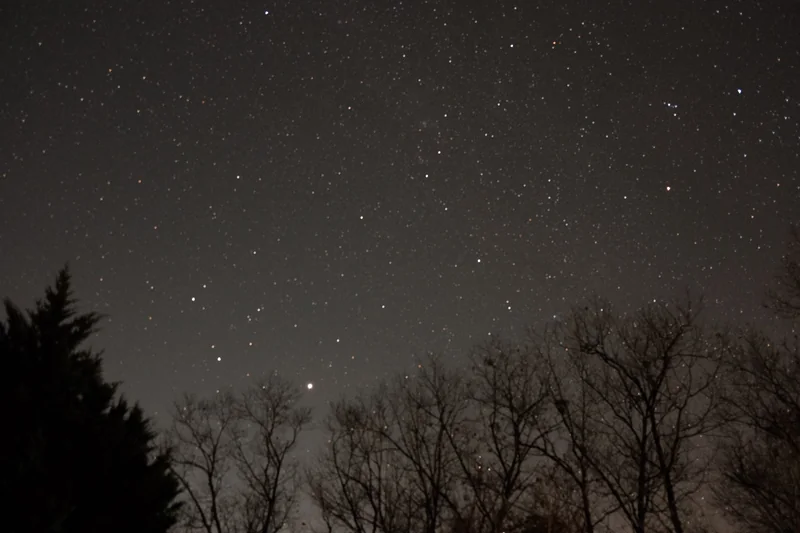A star-filled night sky above the silhouettes of bare winter trees and an evergreen in Murphy, North Carolina